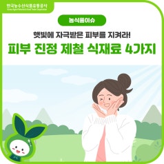 여름철 자외선으로부터 피부 지키는 음식 4가지(키위, 망고, 양상추, 청경채) 바로가기