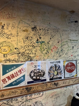 소풍나온 산오징어 사진 3