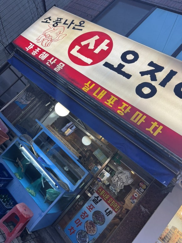 소풍나온 산오징어 사진 5