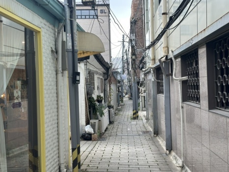 알리케이크 사진 7