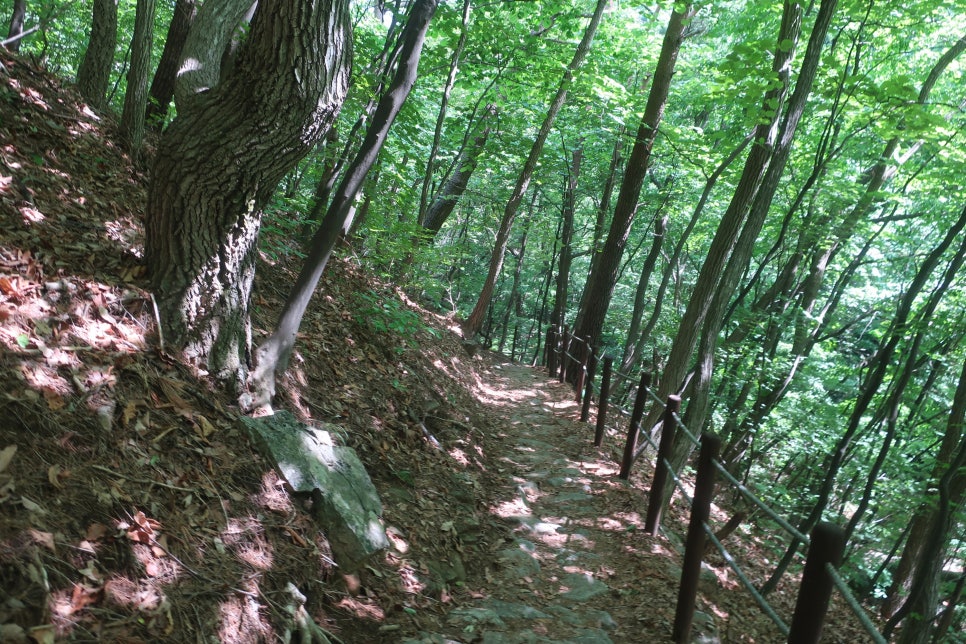 소백산국립공원 죽령코스 이미지