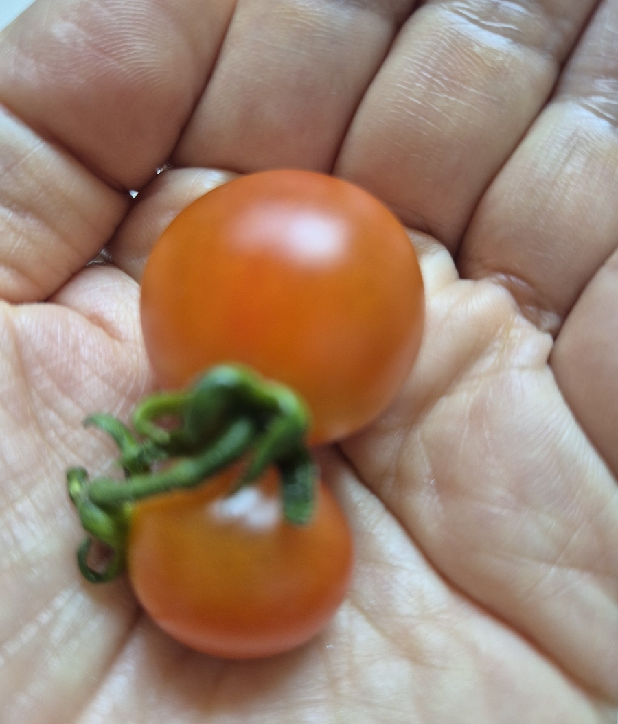 (주)희연 이미지