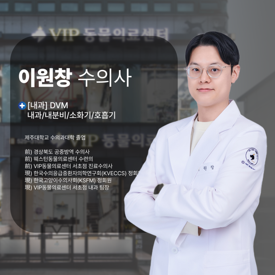 서초 고양이 기능성 장폐색, 증상부터 회복까지 집중 치료 후기 — 사진 13