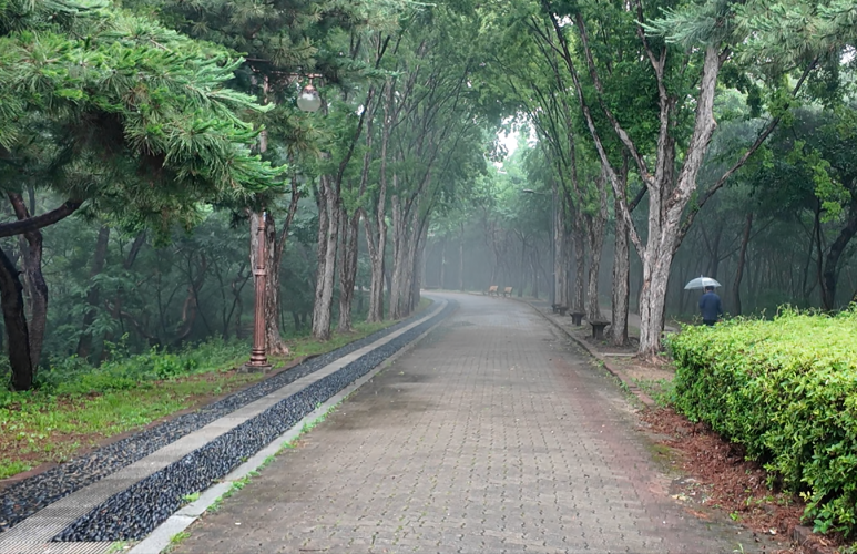 침산공원 이미지