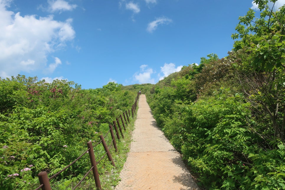 소백산국립공원 죽령코스 이미지