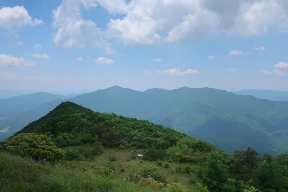 소백산국립공원 죽령코스 이미지