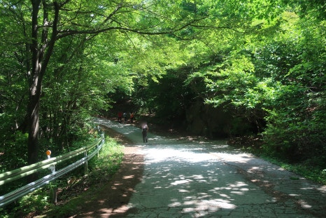 소백산국립공원 죽령코스 이미지