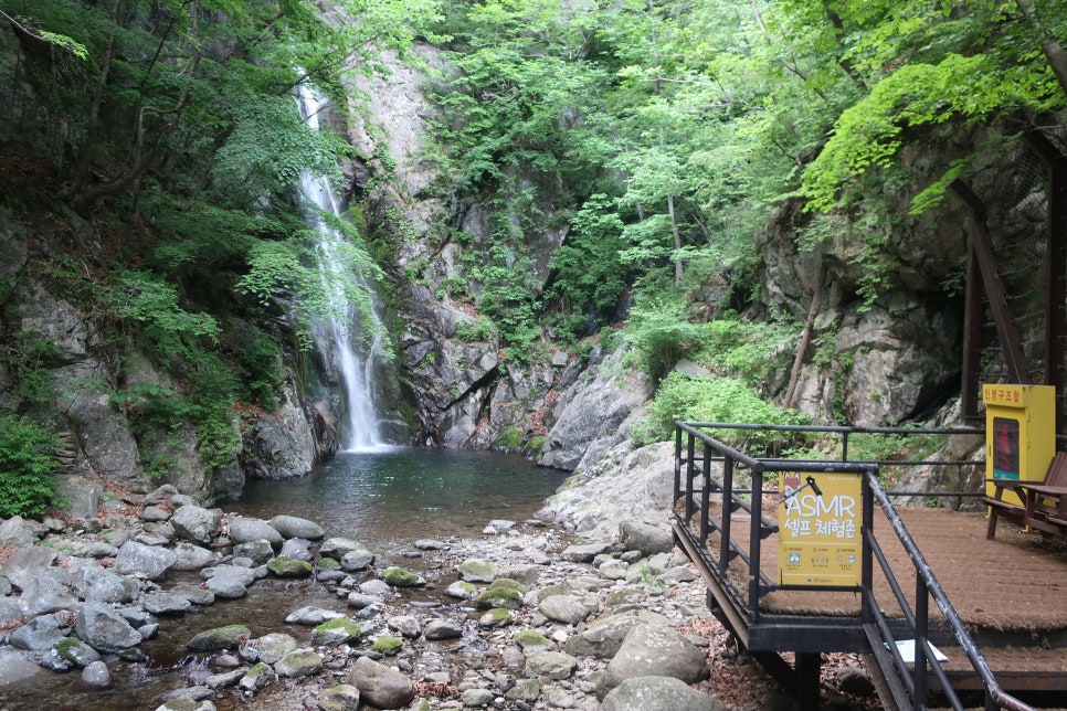 소백산국립공원 죽령코스 이미지