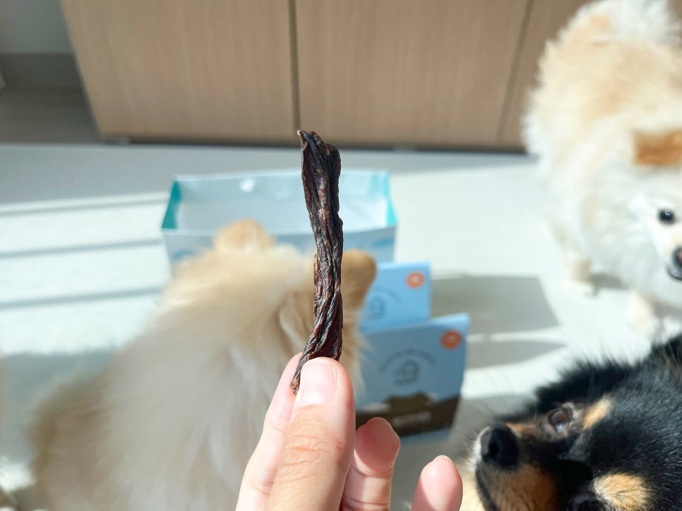 제주펫 말고기 육포, 강아지 수제간식으로 급여 후기 — 사진 9