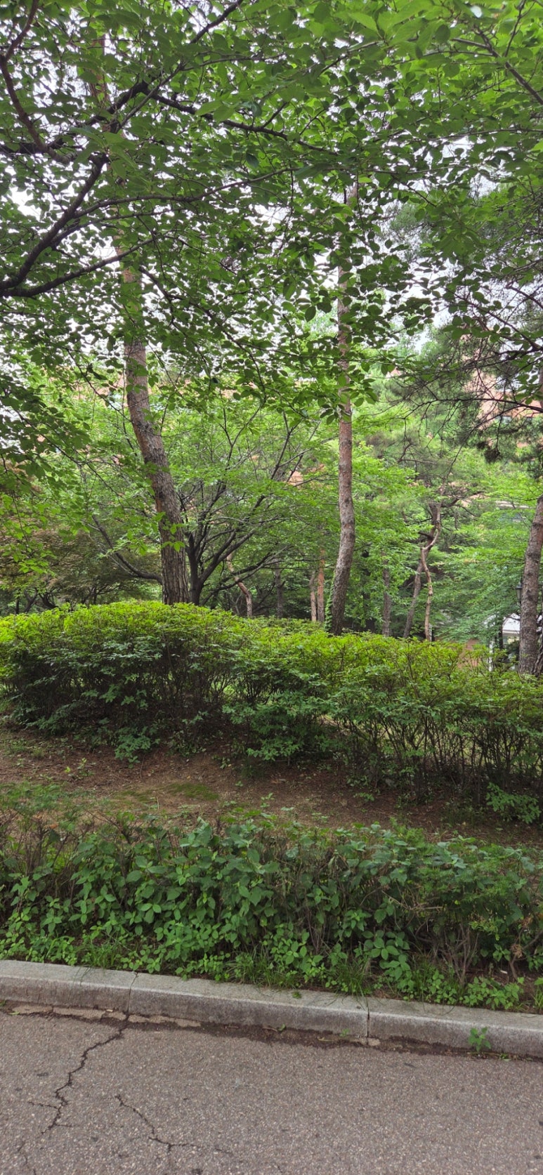 계절밥상 사진 8