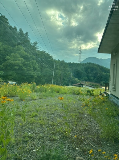 소풍가는날 식당 이미지