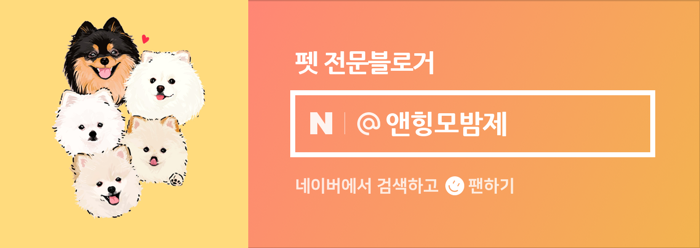 제주펫 말고기 육포, 강아지 수제간식으로 급여 후기 — 사진 16