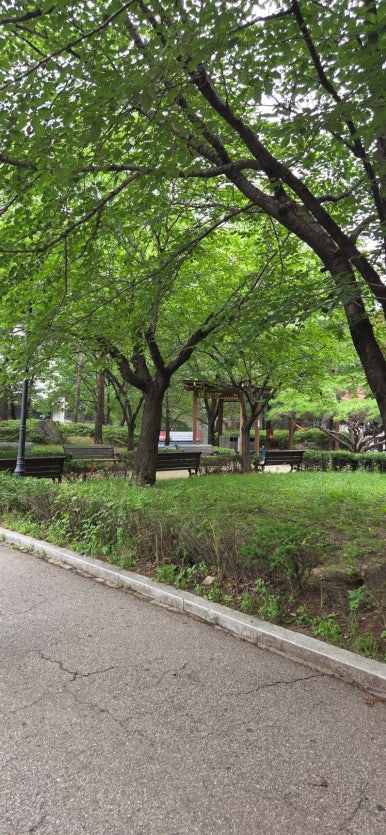 계절밥상 사진 6