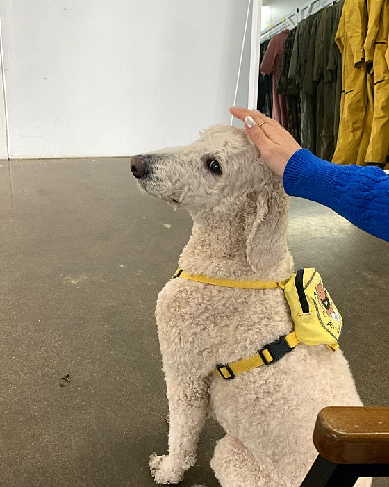 스카이패러 이미지