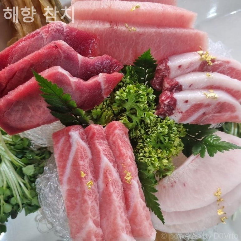 해향 사진 5