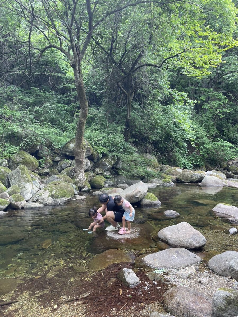 단양솔티천캠핑장 이미지