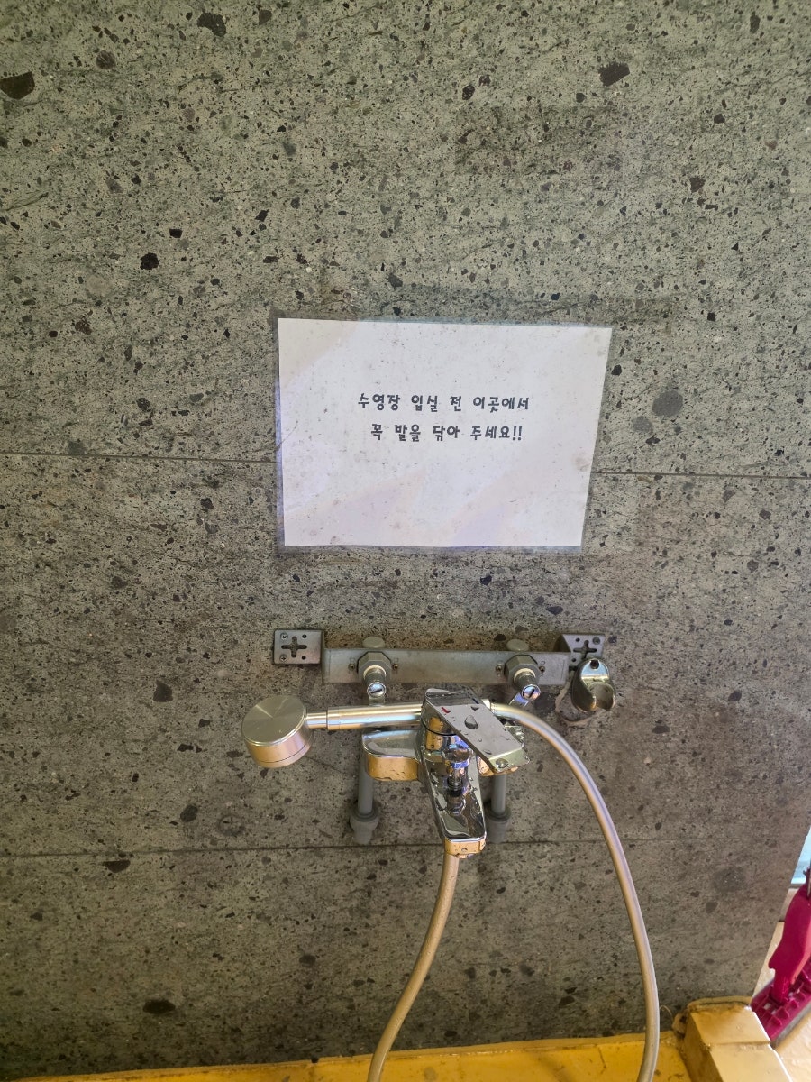 김포 애견카페 DOG힐링파크: 수영장·운동장 완비 — 사진 11