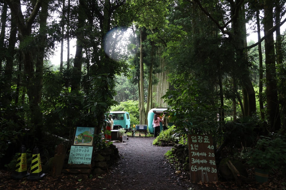 Secret Forest