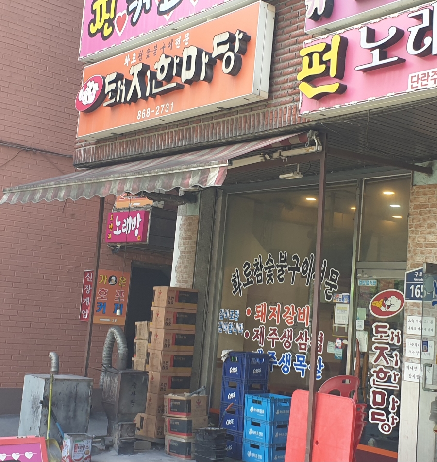 돼지한마당 사진 5
