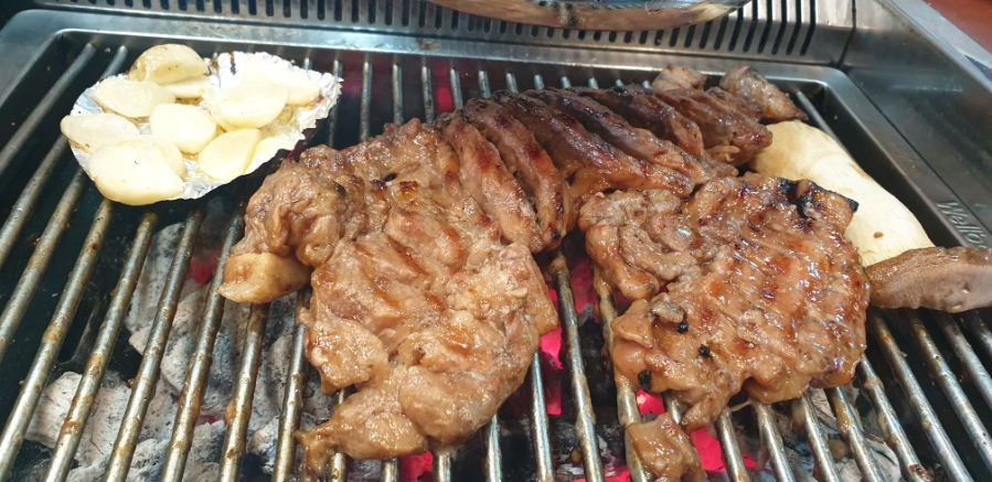 돼지한마당 사진 3
