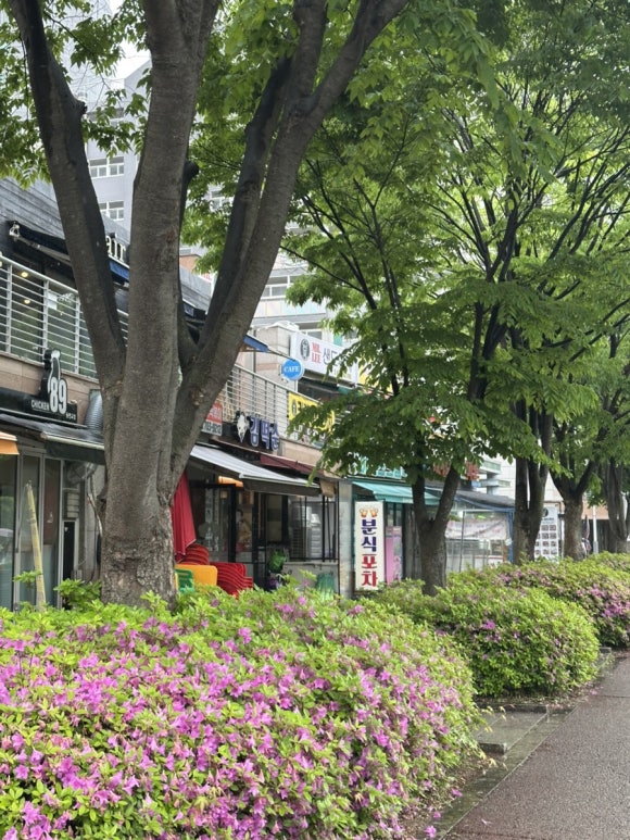 분식포차 사진 5