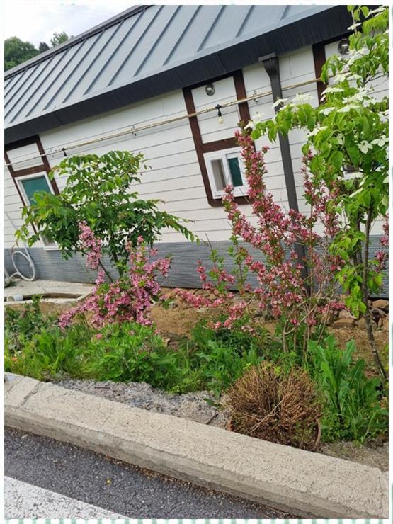 단양채훤펜션 이미지