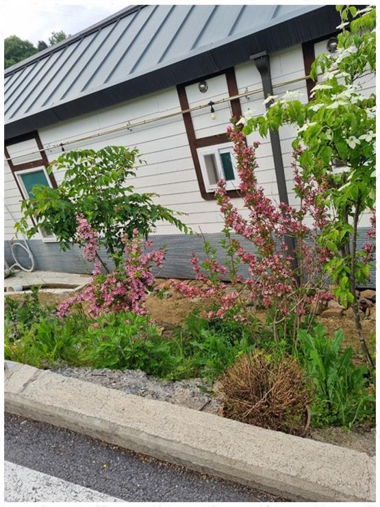 단양채훤펜션 이미지