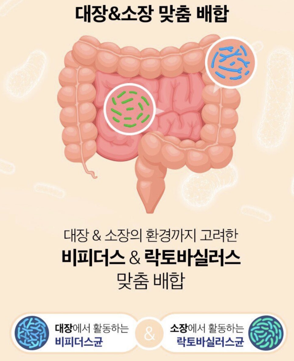 한국야쿠르트 맛있는 유산균 아이·키즈 아연 프로바이오틱스 리뷰 이미지 4