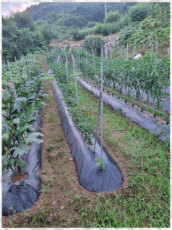 단양채훤펜션 이미지