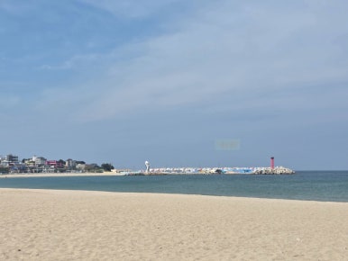 Yeongdeok Crab Center 42