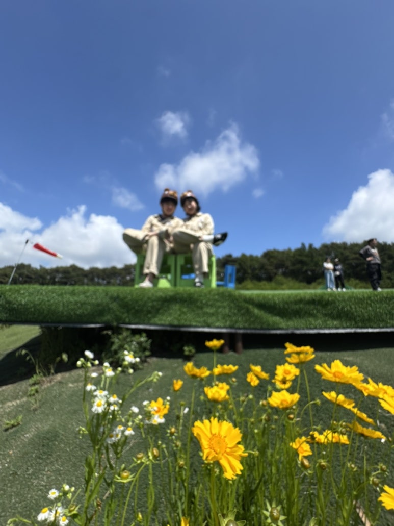 투고패러글라이딩 이미지