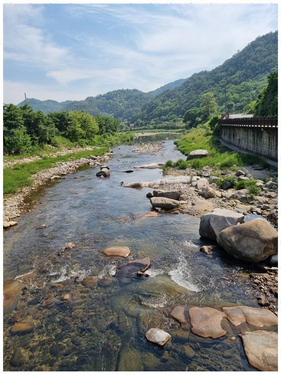 단양채훤펜션 이미지
