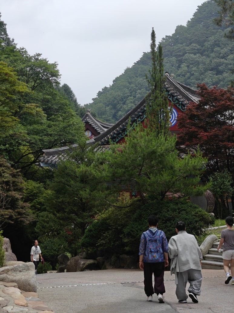 더쎈패러글라이딩 이미지