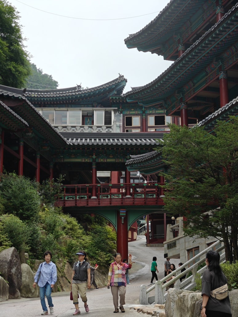 더쎈패러글라이딩 이미지