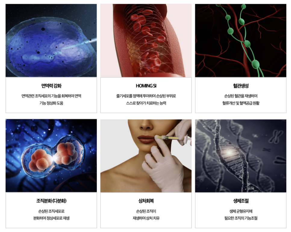 %EC%8A%A4%ED%81%AC%EB%A6%B0%EC%83%B7_2025-07-07_%EC%98%A4%ED%9B%84_4.10.20 줄기세포 셀뱅킹, 미래를 준비하는 방법