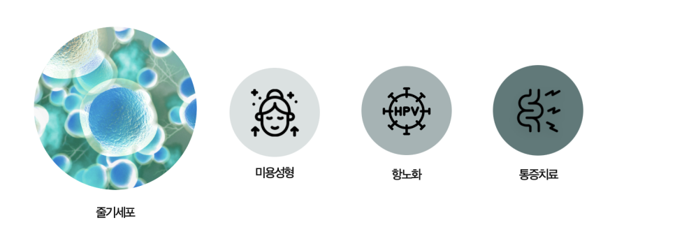 %EC%8A%A4%ED%81%AC%EB%A6%B0%EC%83%B7_2025-07-04_%EC%98%A4%ED%9B%84_3.55.04 줄기세포 셀뱅킹, 미래를 준비하는 방법
