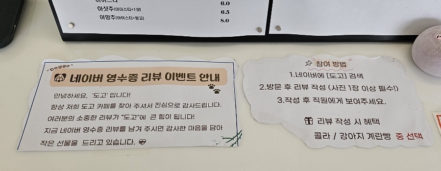 월계 애견동반카페 도고, 브런치와 놀이 공간 완비 — 사진 3