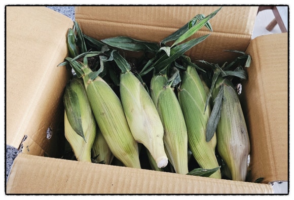 신신상회 이미지