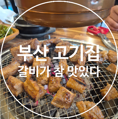 갈비가참맛있다 사진 4