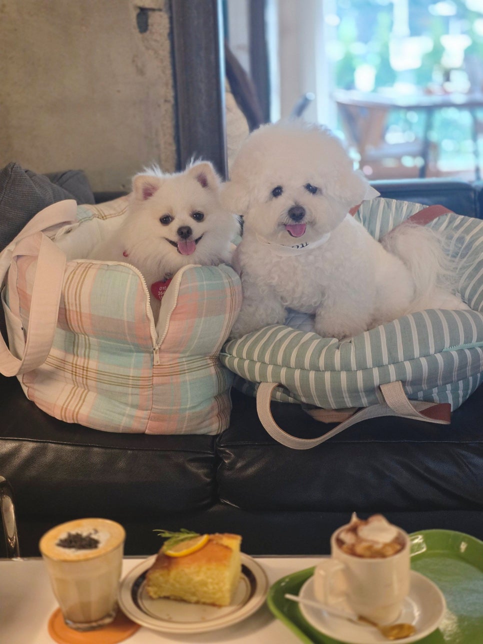 안양 애견동반 카페 '더홈', 감성 인테리어와 디저트 후기 — 사진 14