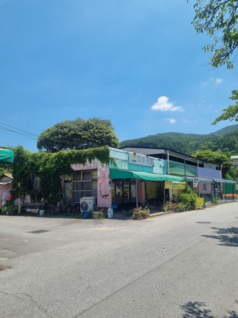 혜성식당 이미지