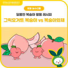 여름 제철 새콤달콤 복숭아![복숭아 그릭요거트 vs 복숭아 화채] 당신의 선택은? 바로가기