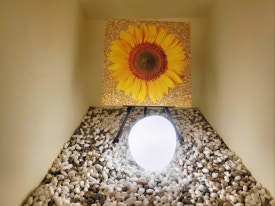 불끈낙지&보쌈 이미지