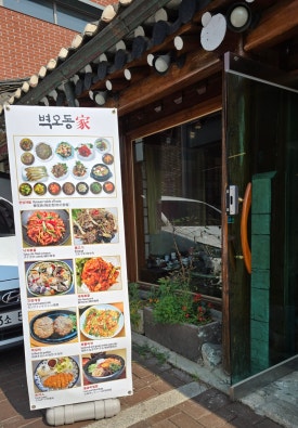 벽오동 사진 8