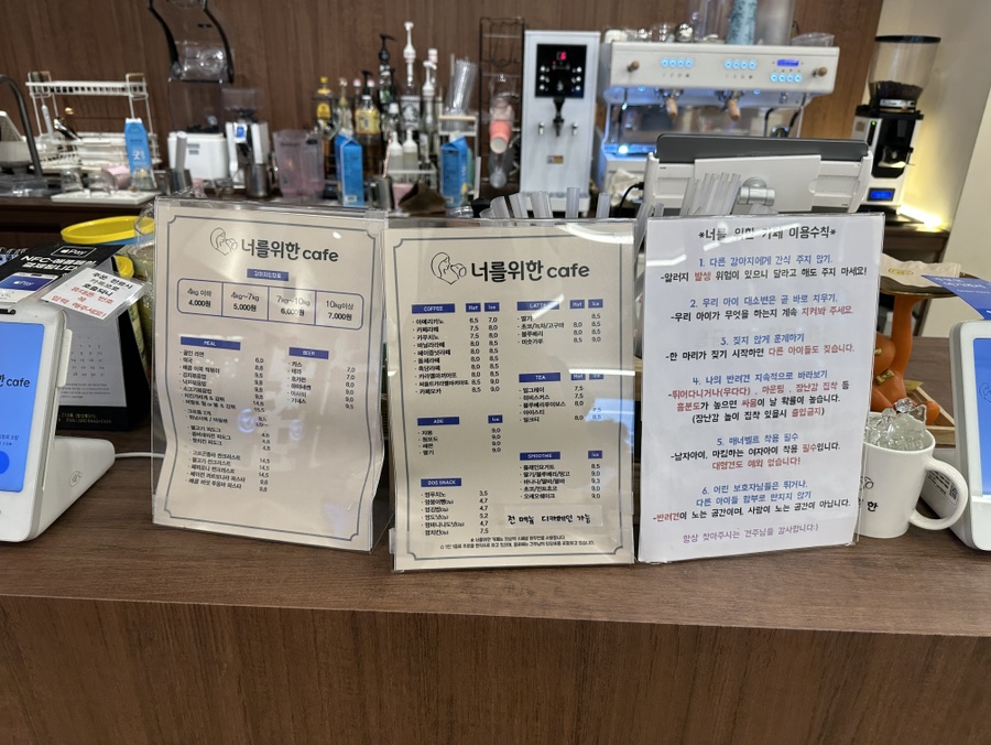 동탄 애견카페, 소형견 대형견 분리된 300평 규모 — 사진 5
