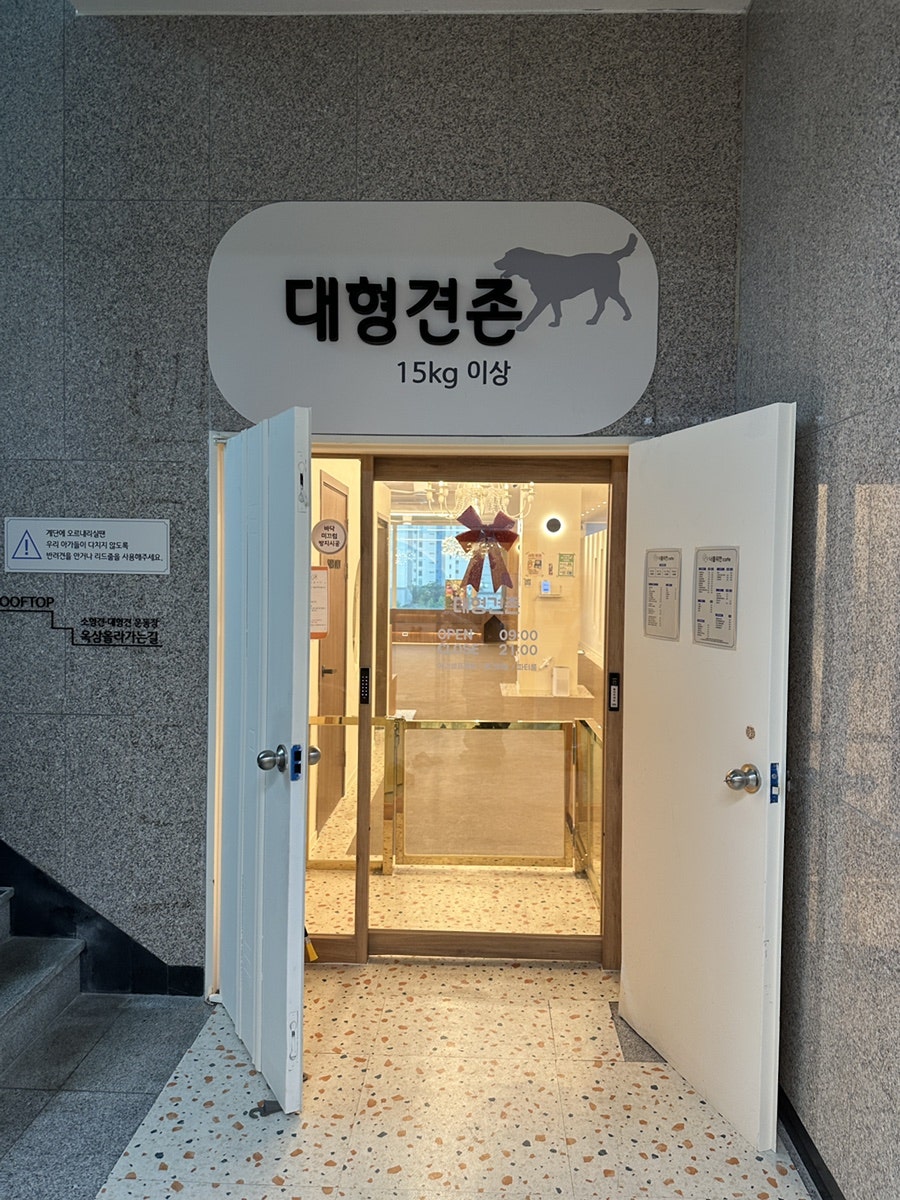 동탄 애견카페, 소형견 대형견 분리된 300평 규모 — 사진 7