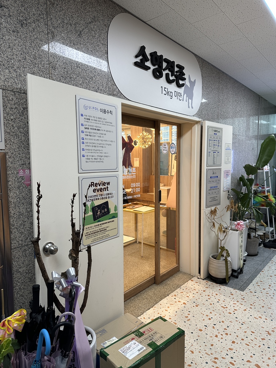 동탄 애견카페, 소형견 대형견 분리된 300평 규모 — 사진 6