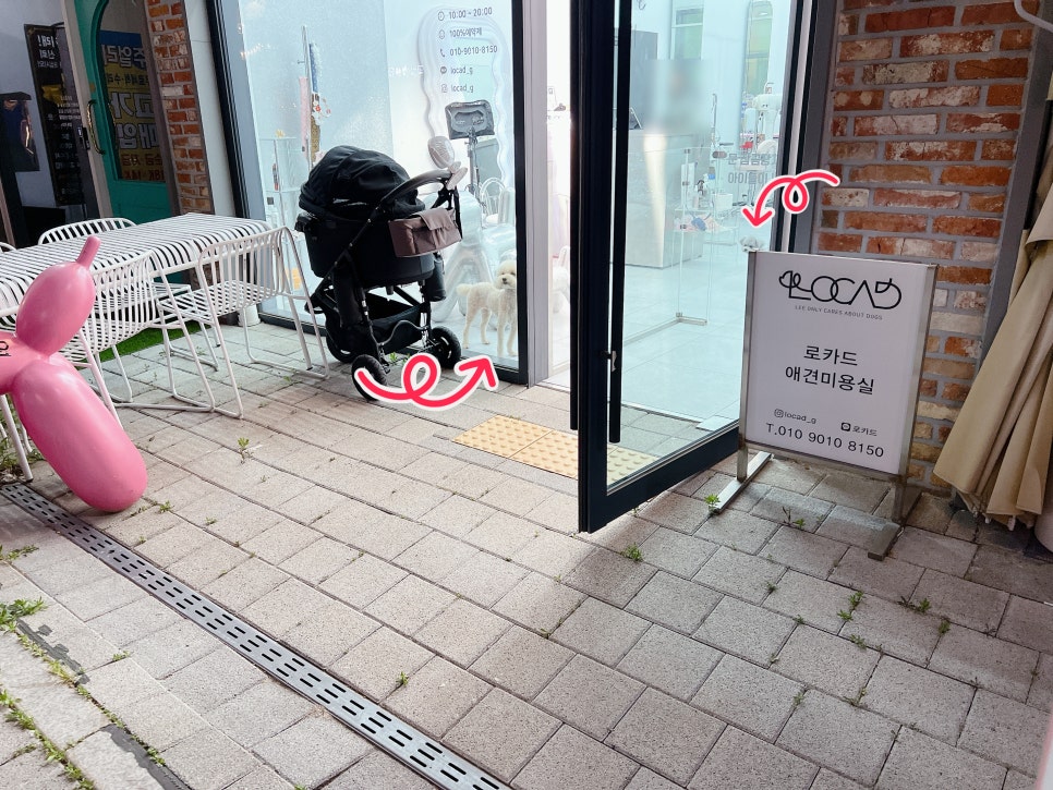 김포 푸들 미용 스타일, 토이푸들 짧은 커트 비용 및 후기 — 사진 10