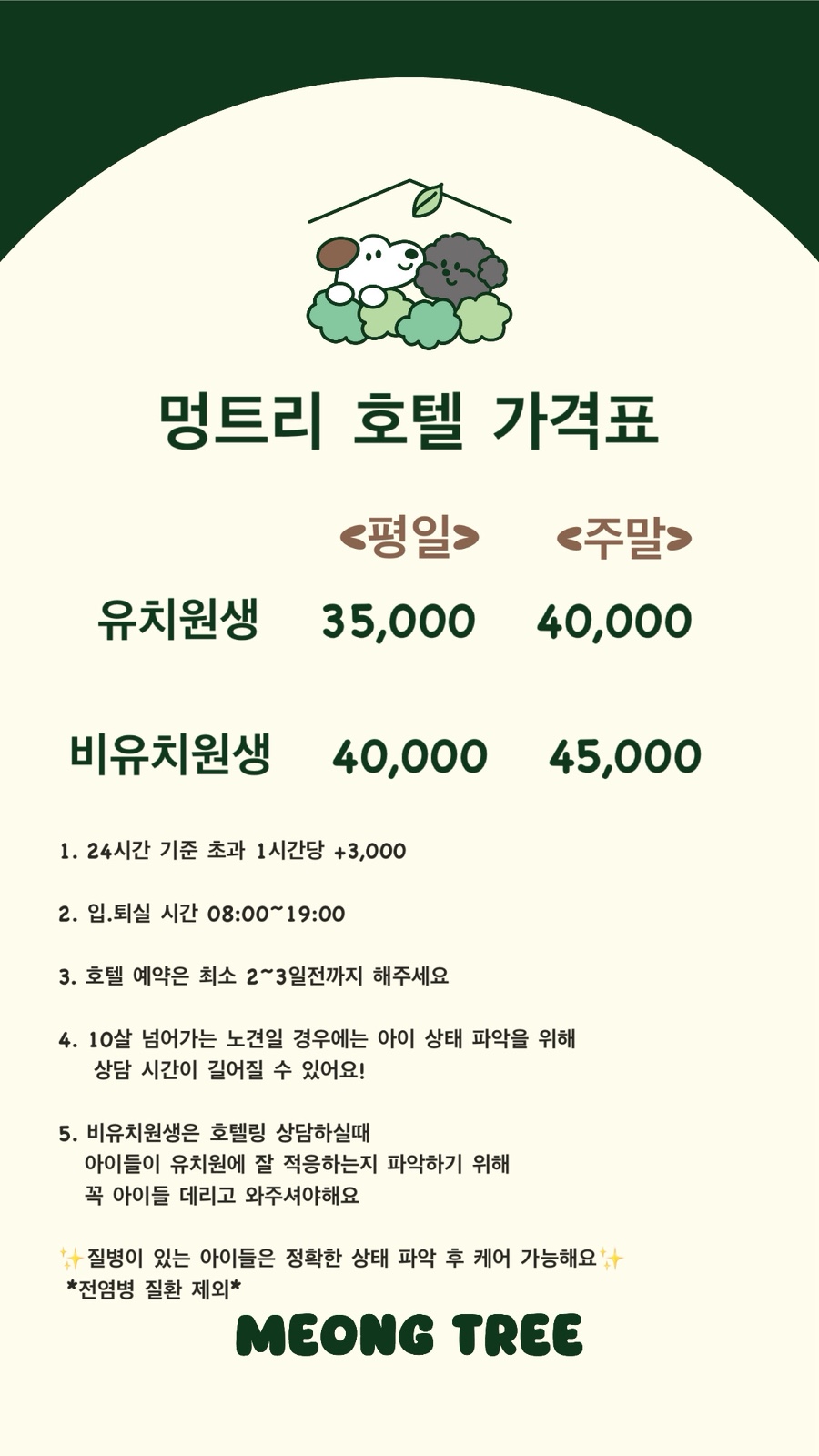 사진 5
