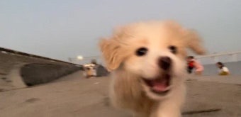 텔러 사진 2